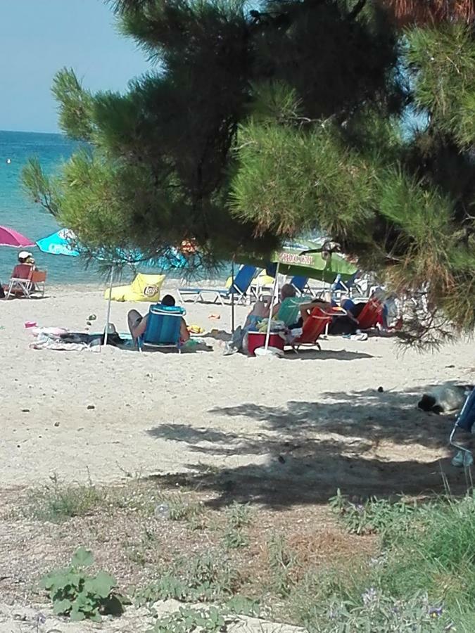 Blue Nea Moudania